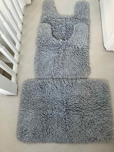 Photo of free Toilet mat set (Camberley GU15) #1