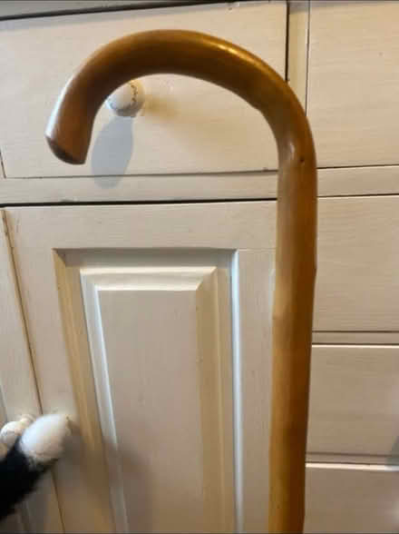 Photo of free Walking Cane (Cheshunt En8) #2