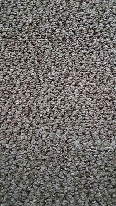 Photo of free Hard wearing brown carpet off cut (Armitage WS15) #2