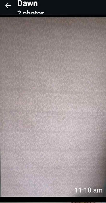 Photo of free Single Bed (Belmont HA7) #3