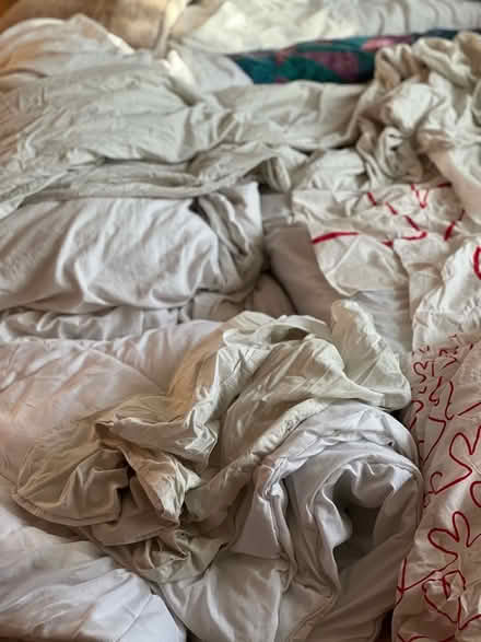 Photo of free Various single bedding and pillow cases to collect weekend (Somers Town NW1) #1