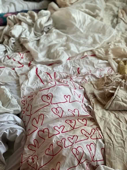 Photo of free Various single bedding and pillow cases to collect weekend (Somers Town NW1) #2