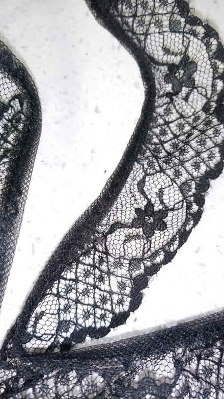 Photo of free Mustard seeds, lace, zipper (Chicago, IL) #3