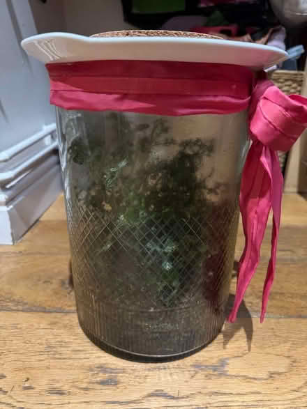 Photo of free Terrarium in glass container (New Marston OX3) #2
