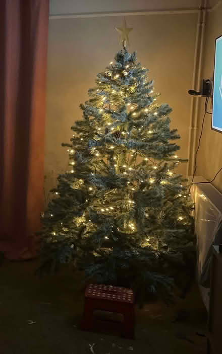 Photo of free 6ft Christmas Tree (Dogsthorpe) #2
