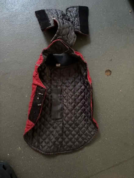 Photo of free Dog jacket (Moulsecoomb BN2) #2