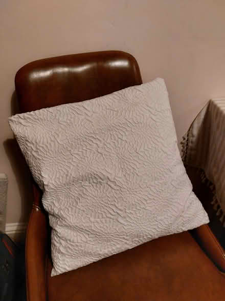 Photo of free White cushion (Southsea PO4) #1