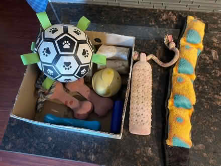 Photo of free Dog toys (Montebello) #1