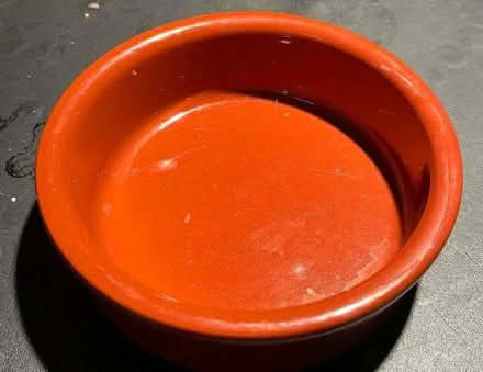 Photo of free ceramic dishes (20 or 30) 11cm x 3cm (Johnstone Castle PA5) #1