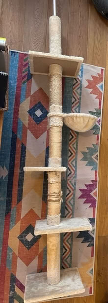 Photo of free Tall cat tower (East Dulwich) #1