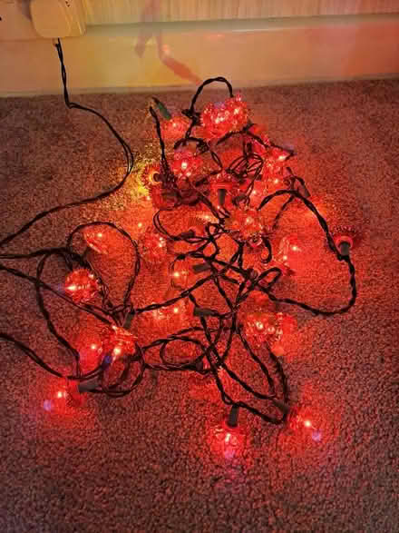 Photo of free Fairy lights (Harefield SO19) #1