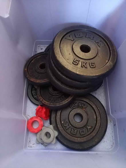 Photo of free York weights (Bowers Gifford SS13) #1