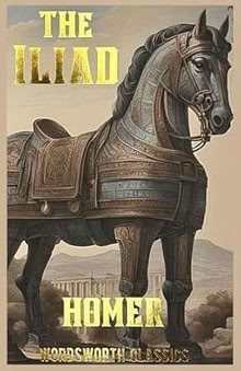 Photo of free PAPERBACK: The Illiad (South Reading RG2) #1
