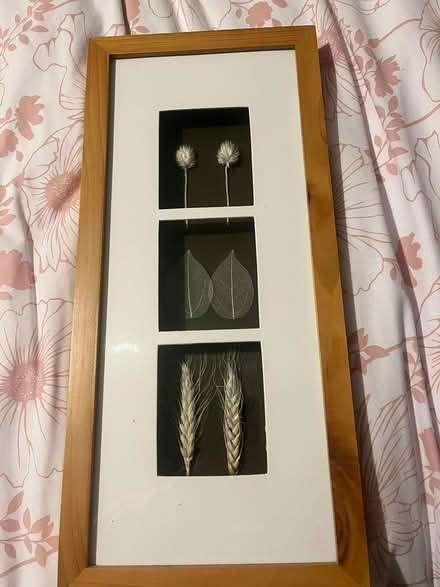 Photo of free oblong picture with dried flowers (near leigh sinton road) #1