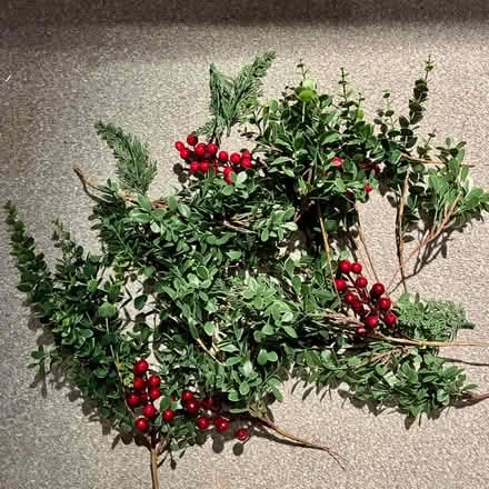 Photo of free Bag of artificial foliage/berries (plastic) (Harbury CV33) #1