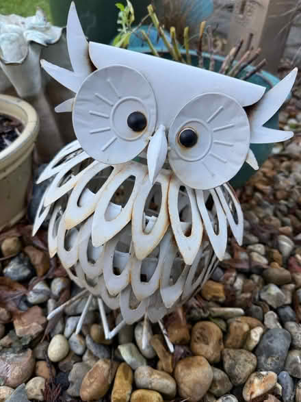 Photo of free Pots plants and trailing tower (Yapton BN18) #2