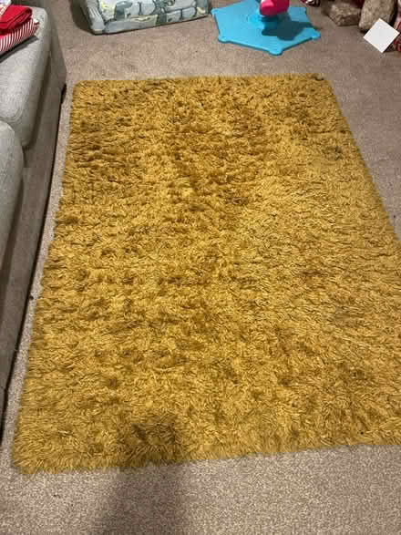 Photo of free Rug (brixham devon TQ5) #1