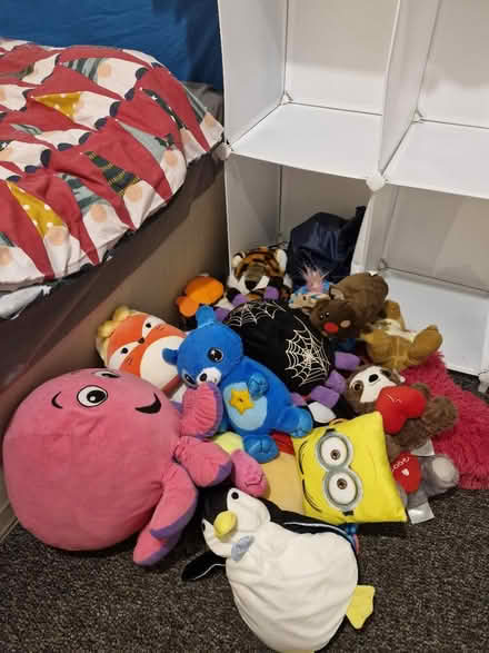 Photo of free Dolls (TF7 5PR) #1