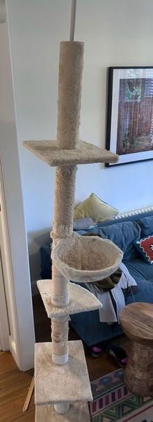 Photo of free Tall cat tower (East Dulwich) #2