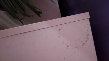 Photo of free Storage unit (Freehold LA1) #3