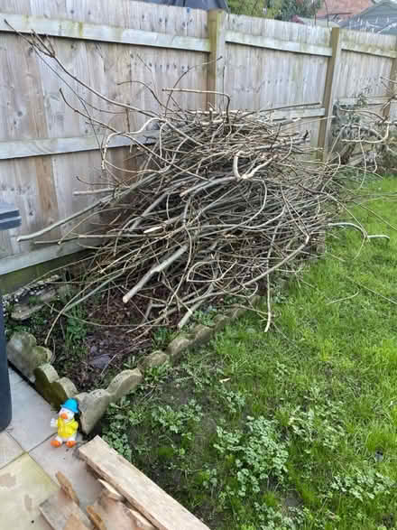 Photo of free Fire wood 🪵 (Heeley, S2) #3