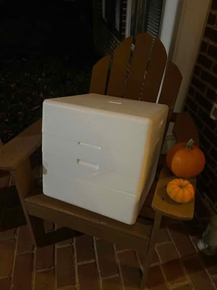 Photo of free Styrofoam box (Alexandria City) #1