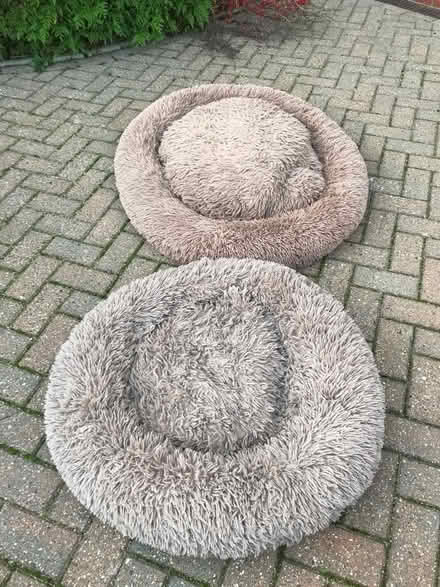 Photo of free 2x donut 🍩 Dog beds (Goffs Oak EN7) #1