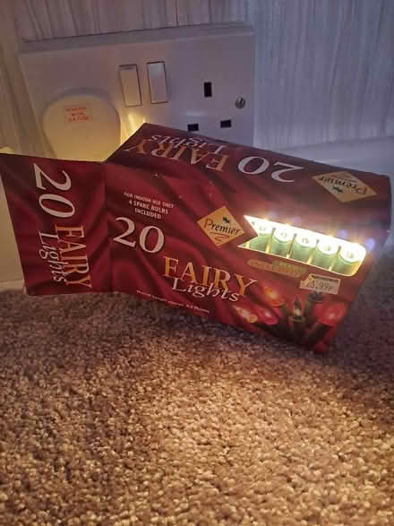 Photo of free Plastic holly / Tinsel / fairy lights (Harefield SO19) #2