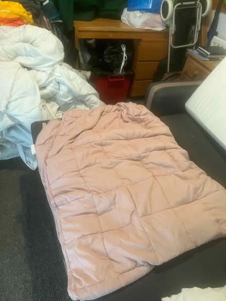 Photo of free Nearly new pink weighted blanket, king (Somers Town NW1) #1