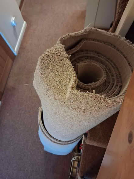 Photo of free Off-cut of Berber twist carpet - new (Waterlooville PO7) #3