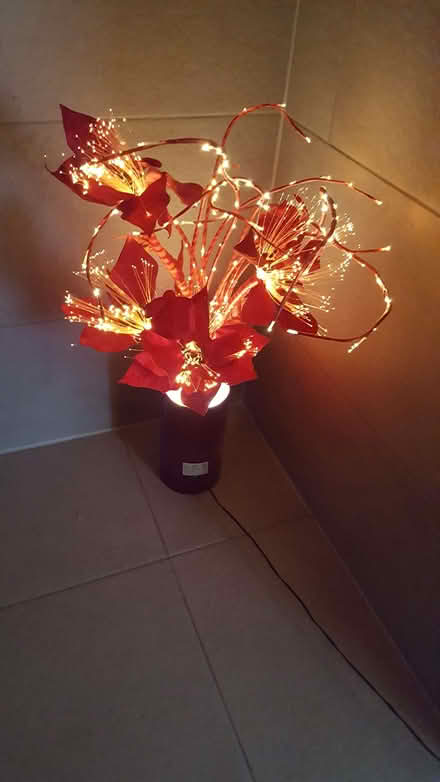 Photo of free Fibre Optic Display (Cutteslowe OX2) #1