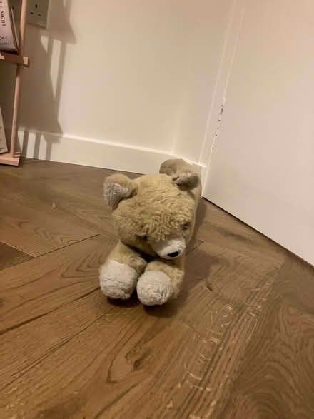 Photo of free Long dog draught excluder (Mortonhall EH17) #2