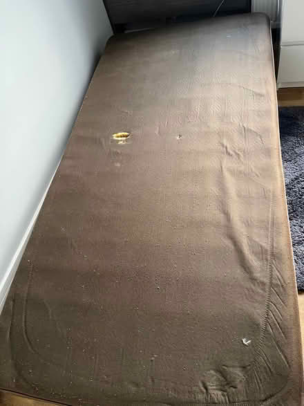 Photo of free Single bed base (BN27) #1