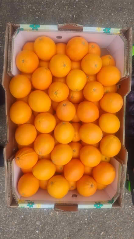 Photo of free Crates of fresh fruit and vegetable (E14 Isle of Dogs) #2