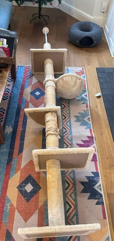 Photo of free Tall cat tower (East Dulwich) #3