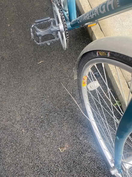 Photo of free Bike with gears (Eh17) #3