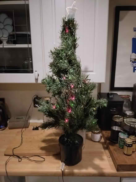 Photo of free Fiber optic Christmas tree (Golcar, Huddersfield) #1