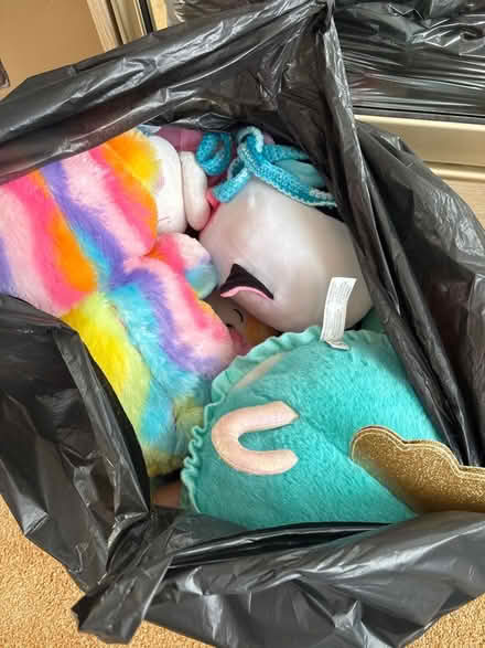Photo of free Bag full of soft toys. (Purwell SG4) #1