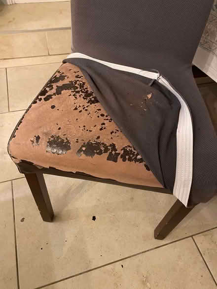 Photo of free 4 dining chairs (Henley-on-Thames RG9) #3