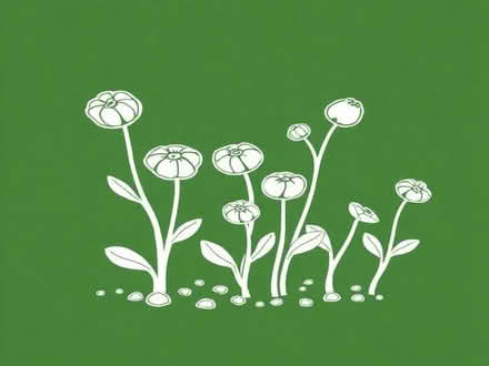 Photo of Seeds (AB14) #1