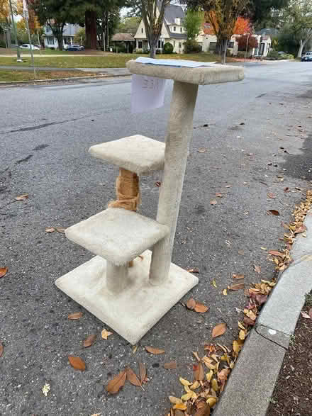 Photo of free Cat Climbing/Scratching Structure (Everett Ave, near Johnson Park) #1