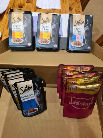 Photo of free Cat food for adult cats (Alexandra Park M16) #1