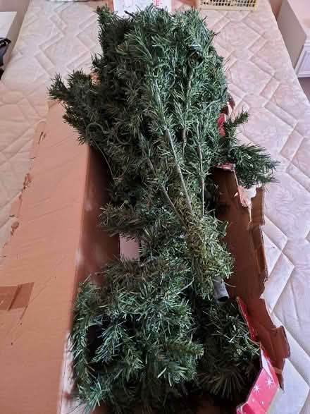 Photo of free 6ft Pre-lit Green Christmas Tree (Harefield SO19) #4