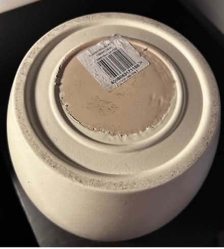 Photo of free Indooor plant pot (Hulme M16) #2