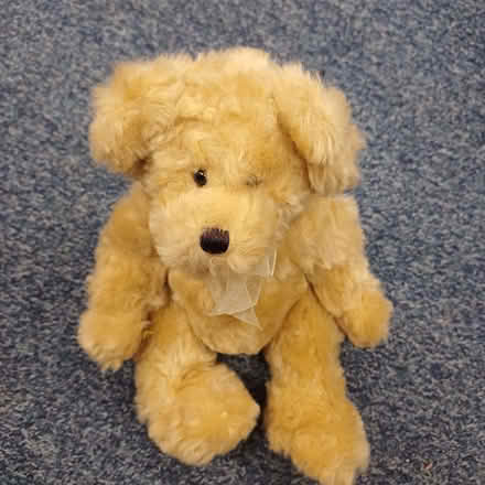 Photo of free Fluffy teddy (Sydenham SE26) #1
