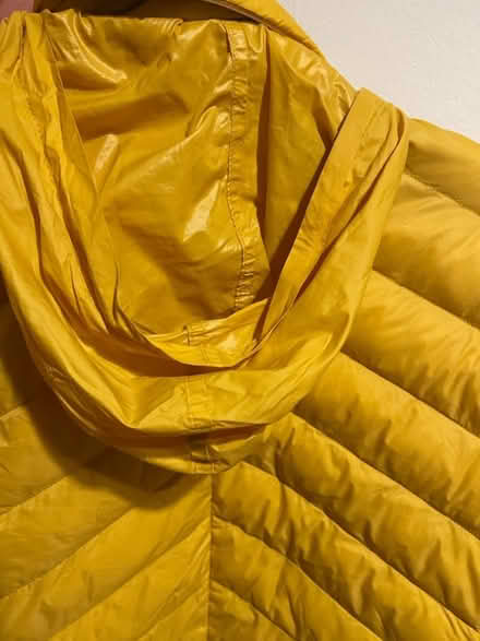 Photo of free Lightweight Jacket (Perivale) #3