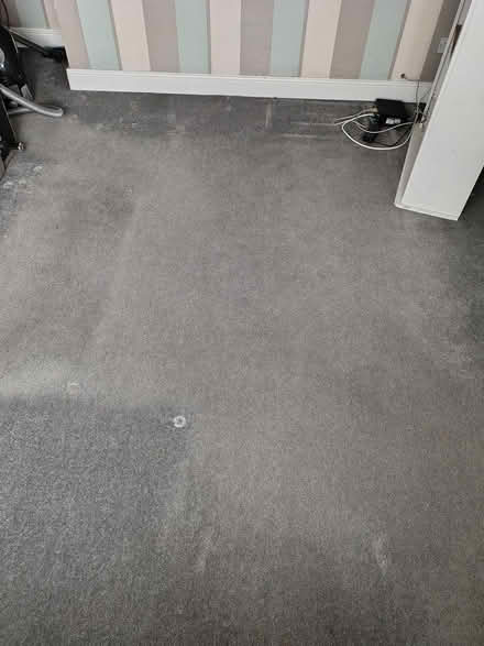 Photo of free Carpet + underlay used for a year (DE21) #2