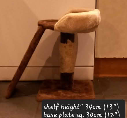 Photo of free CAT scratch (Twyford RG10) #3