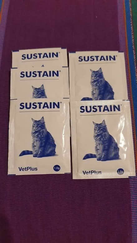 Photo of free SW2 Sustain for Cat (Lambeth) #1