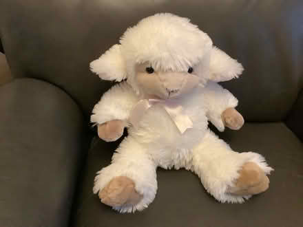 Photo of free White lamb (Great Harwood) #1